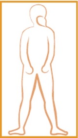 Medium