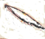Medium