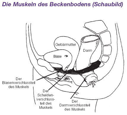 erogeschichte sexstelllungen im stehen erogeschichte sexstelllungen im stehen
